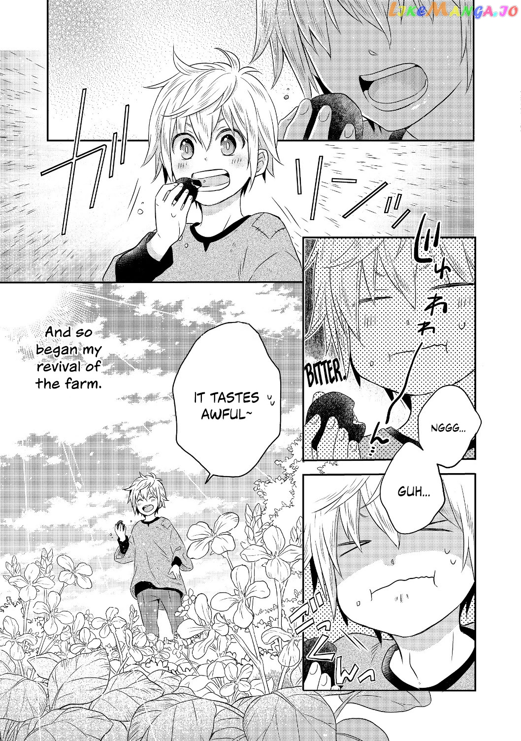 I  was Reincarnated as a Poor Farmer in a Different World, So I Decided to Make Bricks to Build a Castle. - Chapter 1 - Page 29