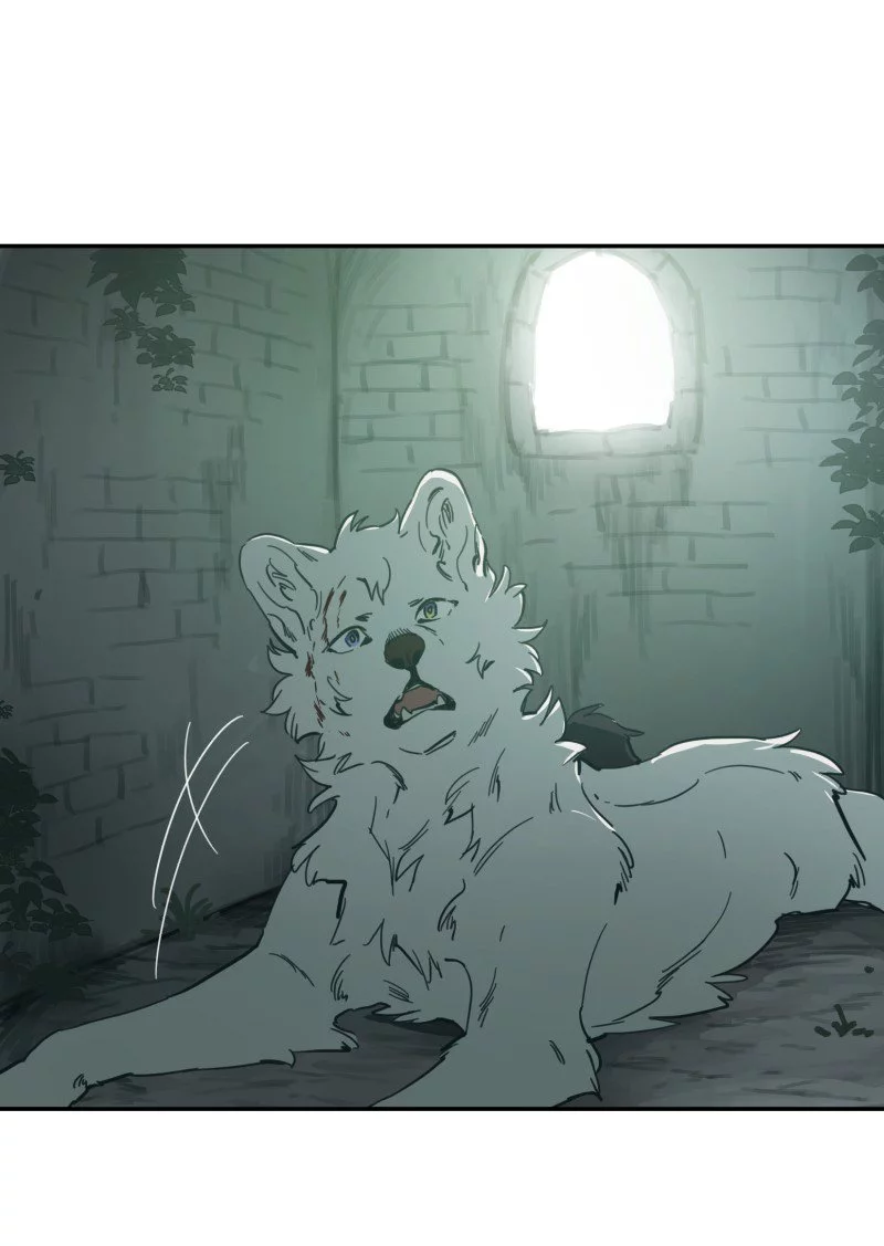LUMINE - Chapter 85 - Page 19