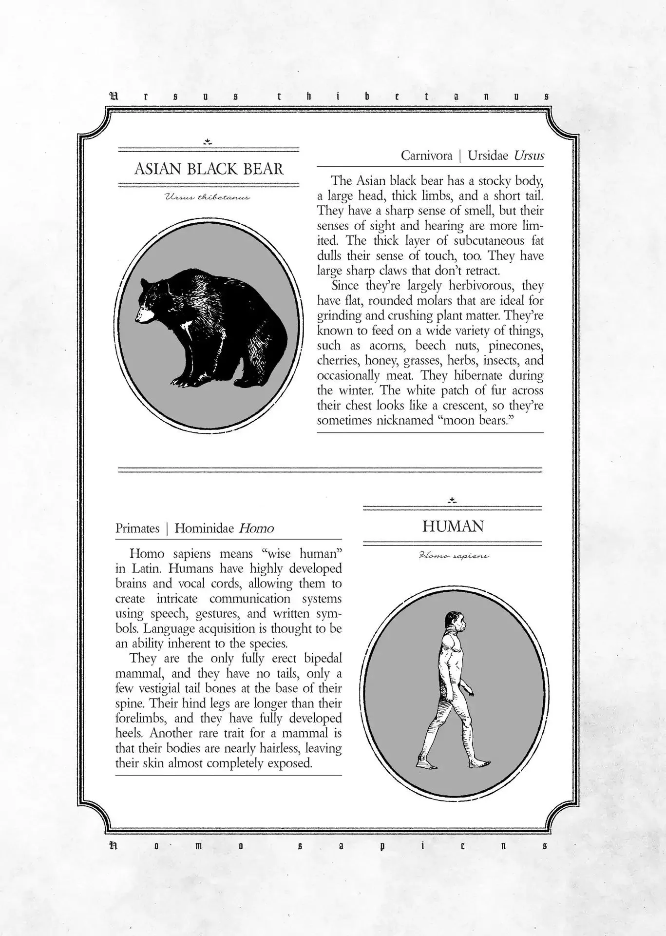 The Wize Wize Beasts of the Wizarding Wizdoms - Chapter 8 - Page 35