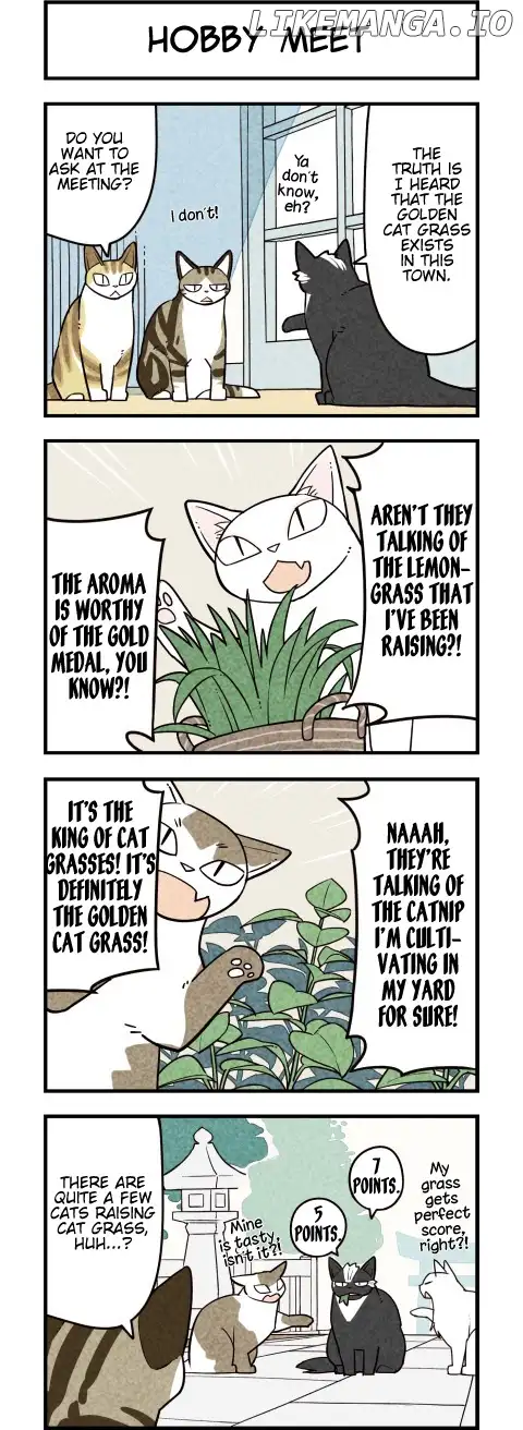 We are Cats - Chapter 63 - Page 3